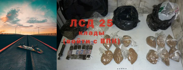 ПСИЛОЦИБИНОВЫЕ ГРИБЫ Верхнеуральск