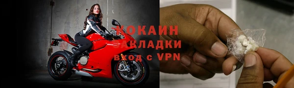 ПСИЛОЦИБИНОВЫЕ ГРИБЫ Верхнеуральск
