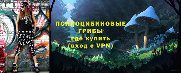 ПСИЛОЦИБИНОВЫЕ ГРИБЫ Верхнеуральск
