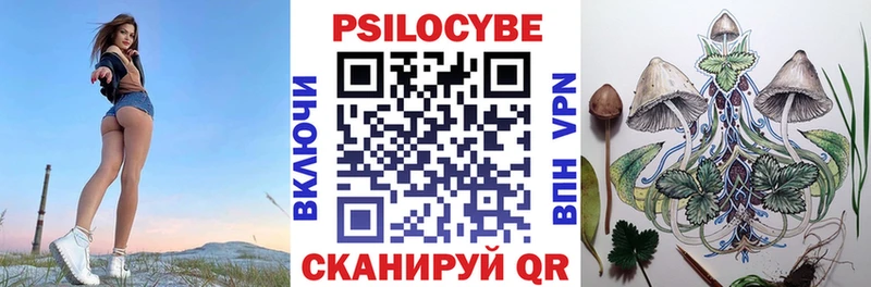 Псилоцибиновые грибы прущие грибы Кириши